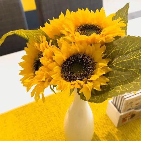 Hill 2 Апартаменты *