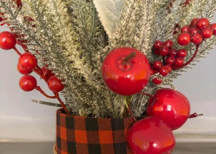 Daire Hill 2 Golubac