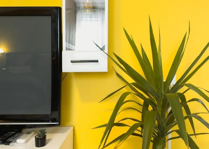 Daire Hill 2 Golubac